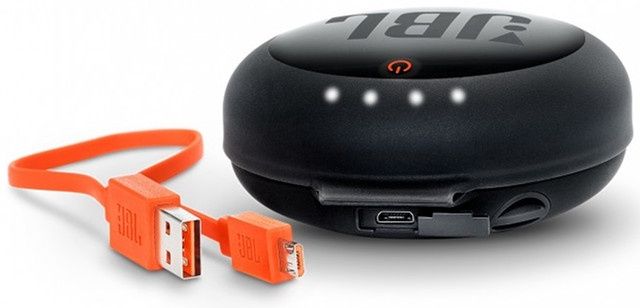 JBL Charging Case