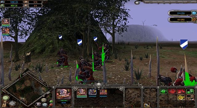 Dawn of War