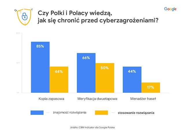 Bezpieczeństwo Polaków w sieci