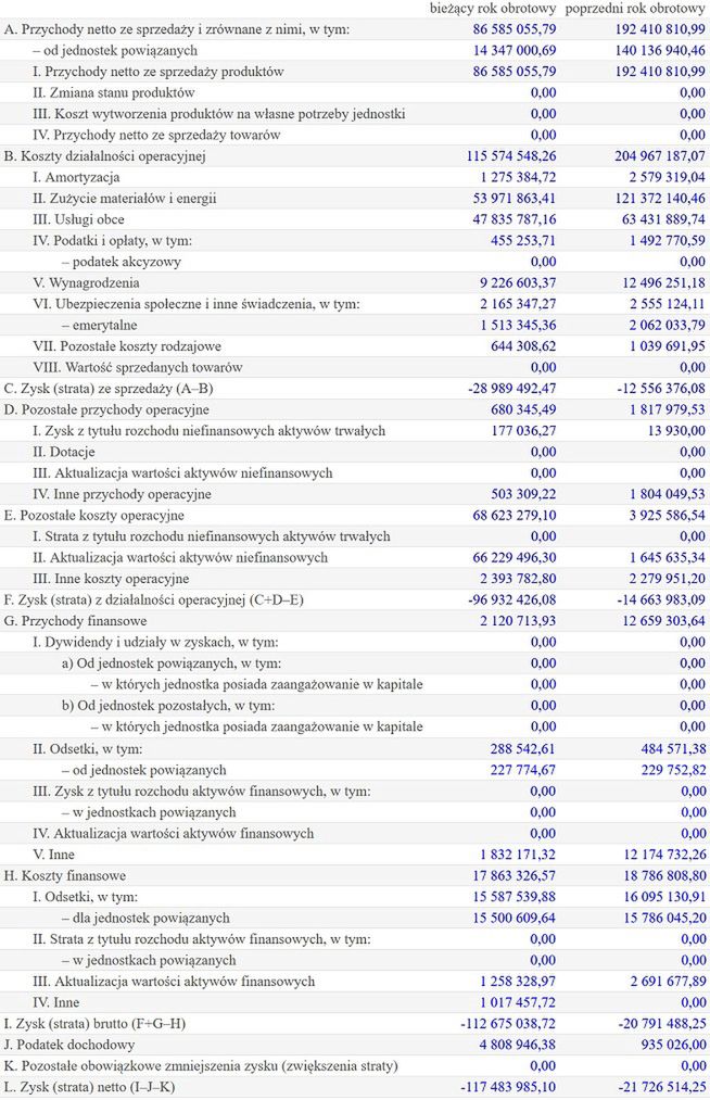 Wyniki finansowe Esoleo