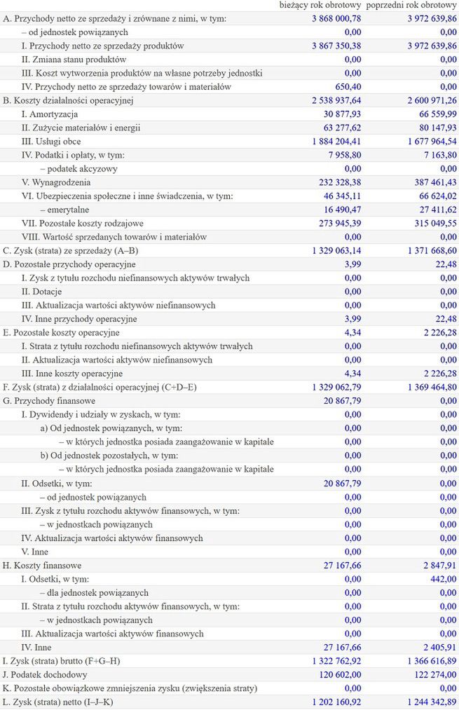 Wyniki finansowe Fotki w 2024 i 2023 r.