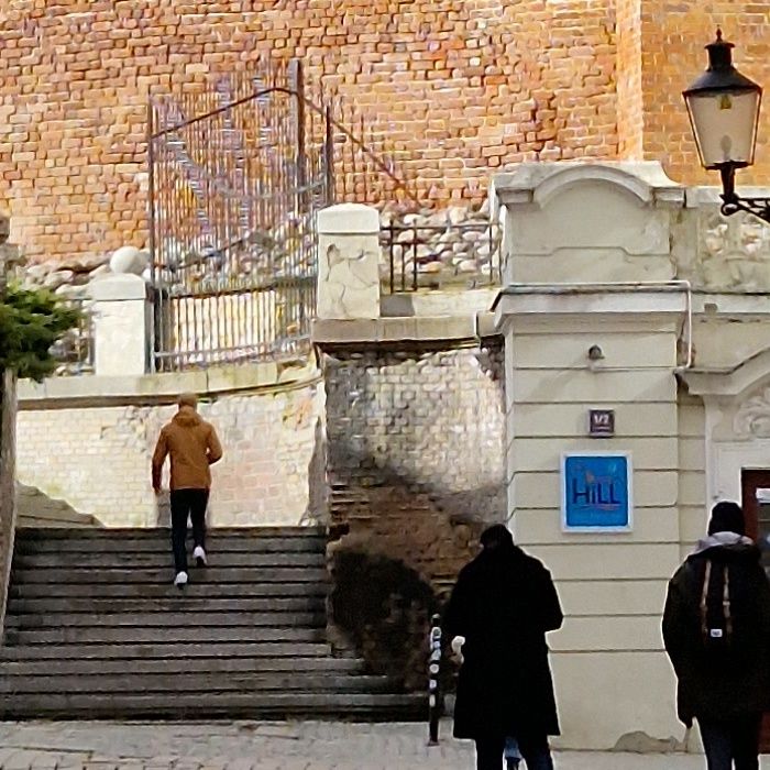 Obraz