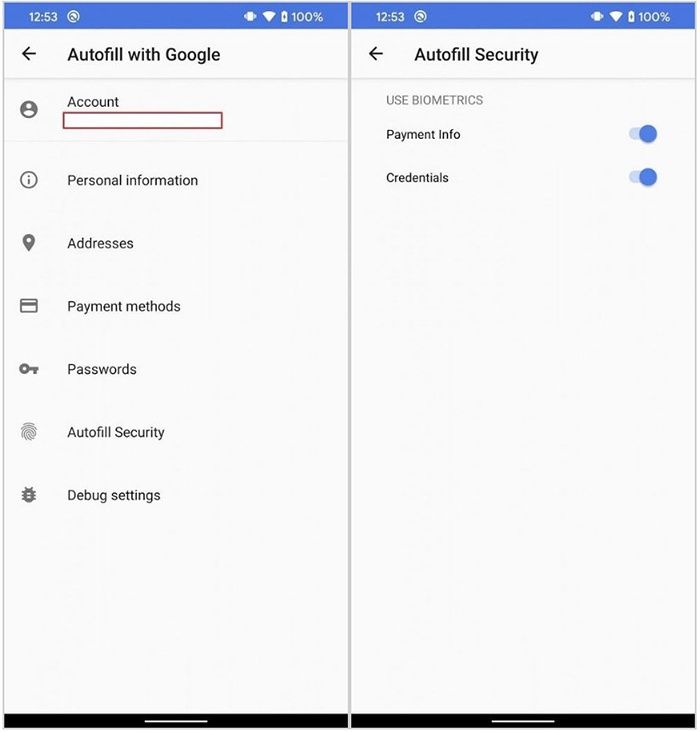 Autofill with Google