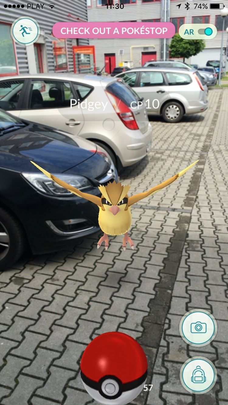 Pokemon Go - Pidgey
