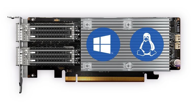 QNAP QXG-100G2SF-E810