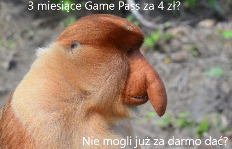 Xbox mem