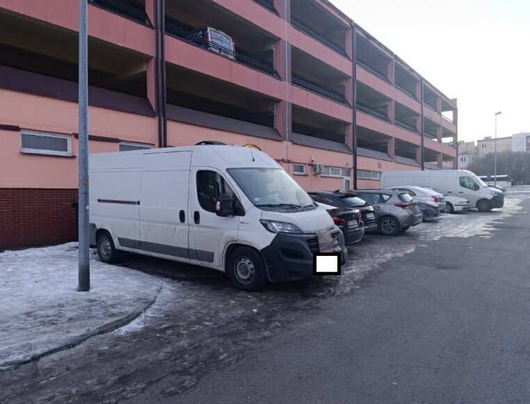 Pies zostawiony w aucie na mrozie