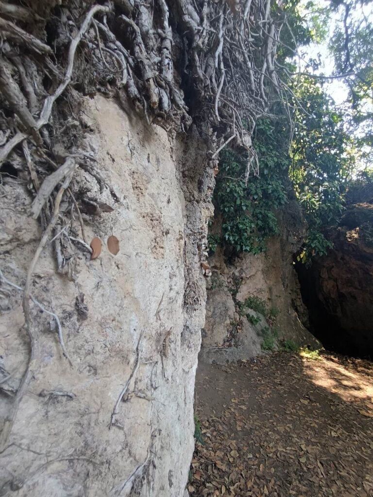 Jaskinia Smoka Thassos