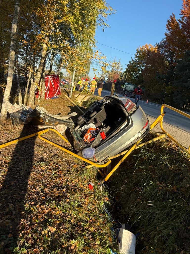 Foto dzięki uprzejmości SpottedAlert.pl
