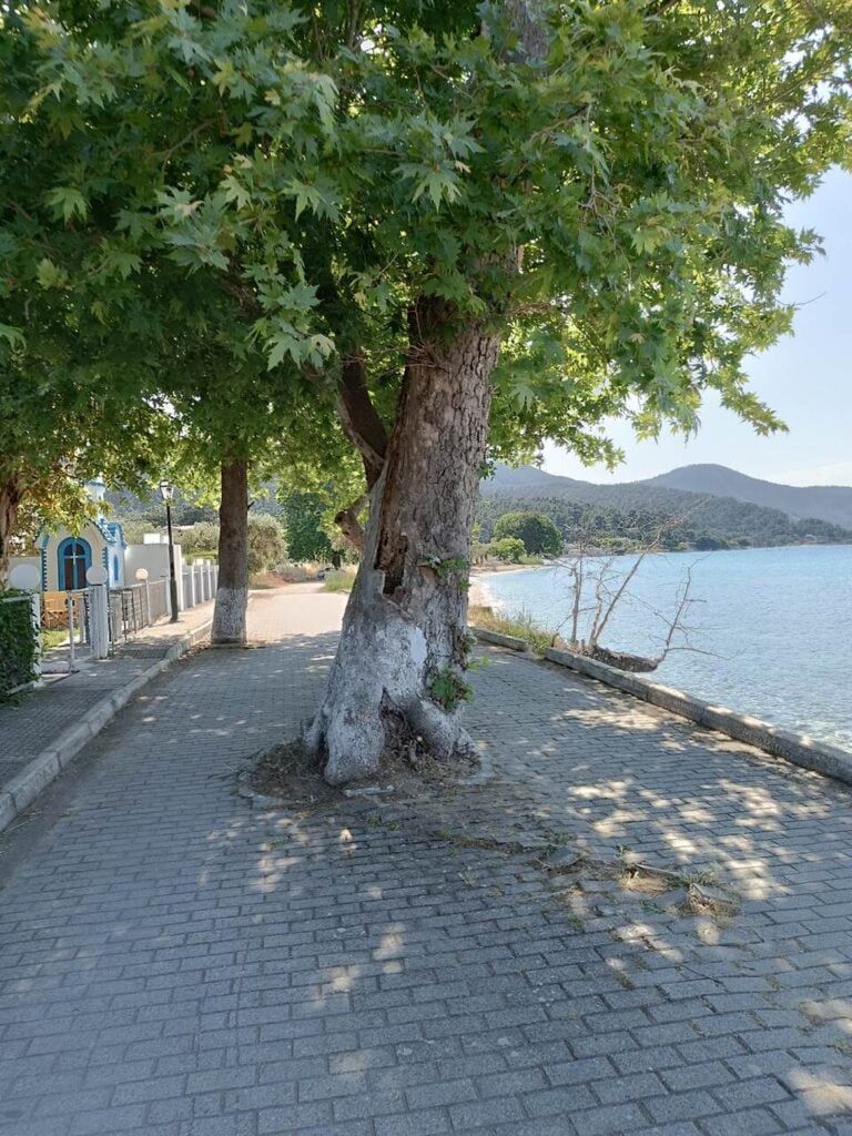 Ulice Thassos w Grecji