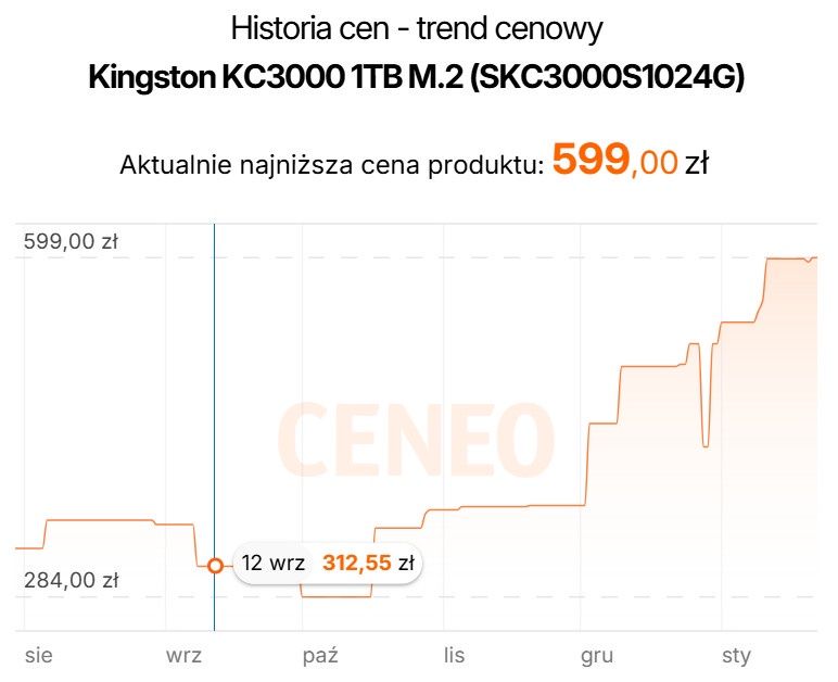 Kigston KC3000 1TB
