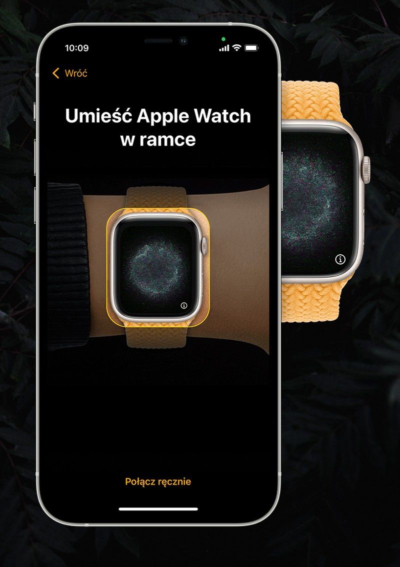 apple watch
