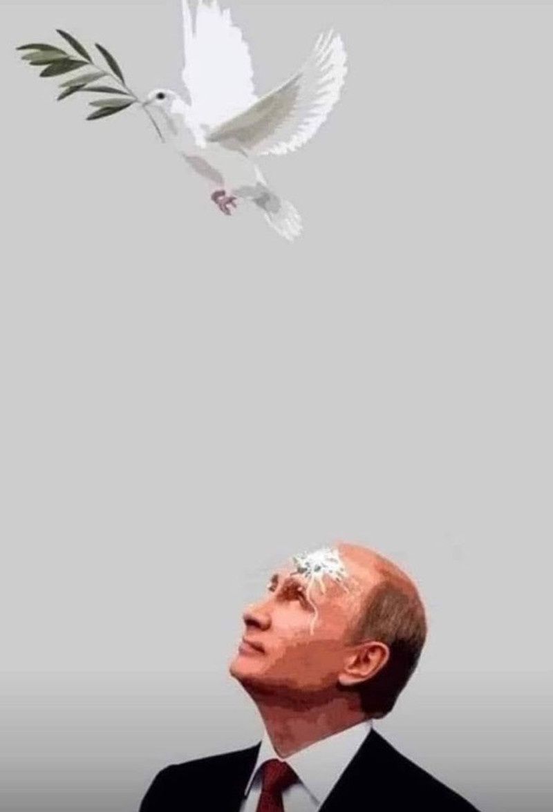 Putin mem 7