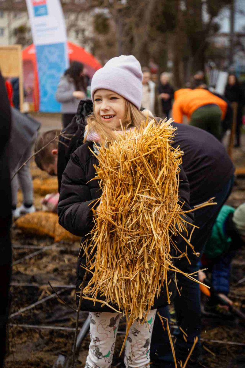 Mikrolasy Miyawaki - japoński koncept ratunkiem dla polskich miast