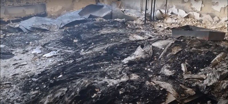 pogożelisko w banku roślinnych zasobów genowych Ukrainy
