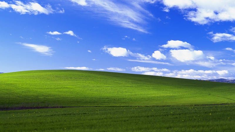 Domyślna tapeta Windows XP