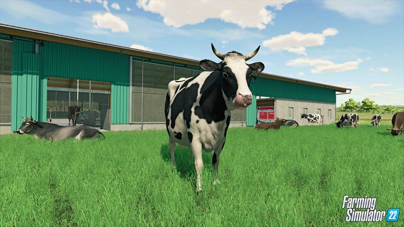 Farming Simulator 22 krowa