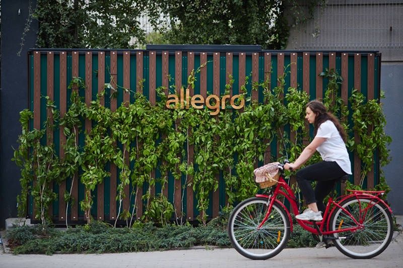 Allegro automaty tył