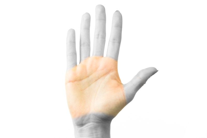 Śródręcze