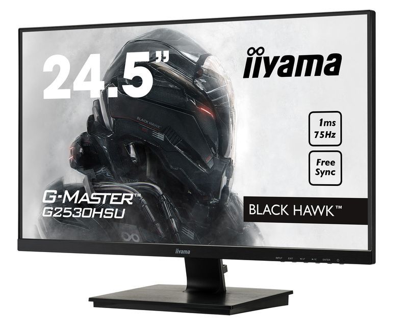 iiyama G-Master G2530HSU