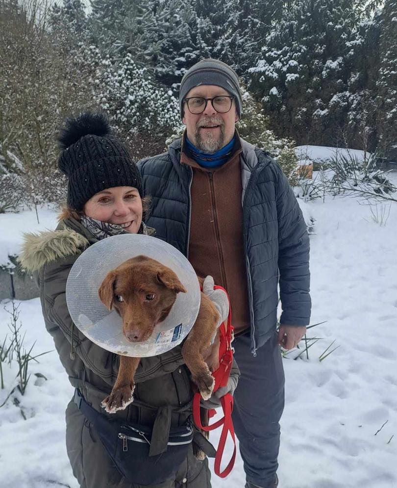 Akcja ratunkowa zwierzaków ze schroniska Kocham Psisko!