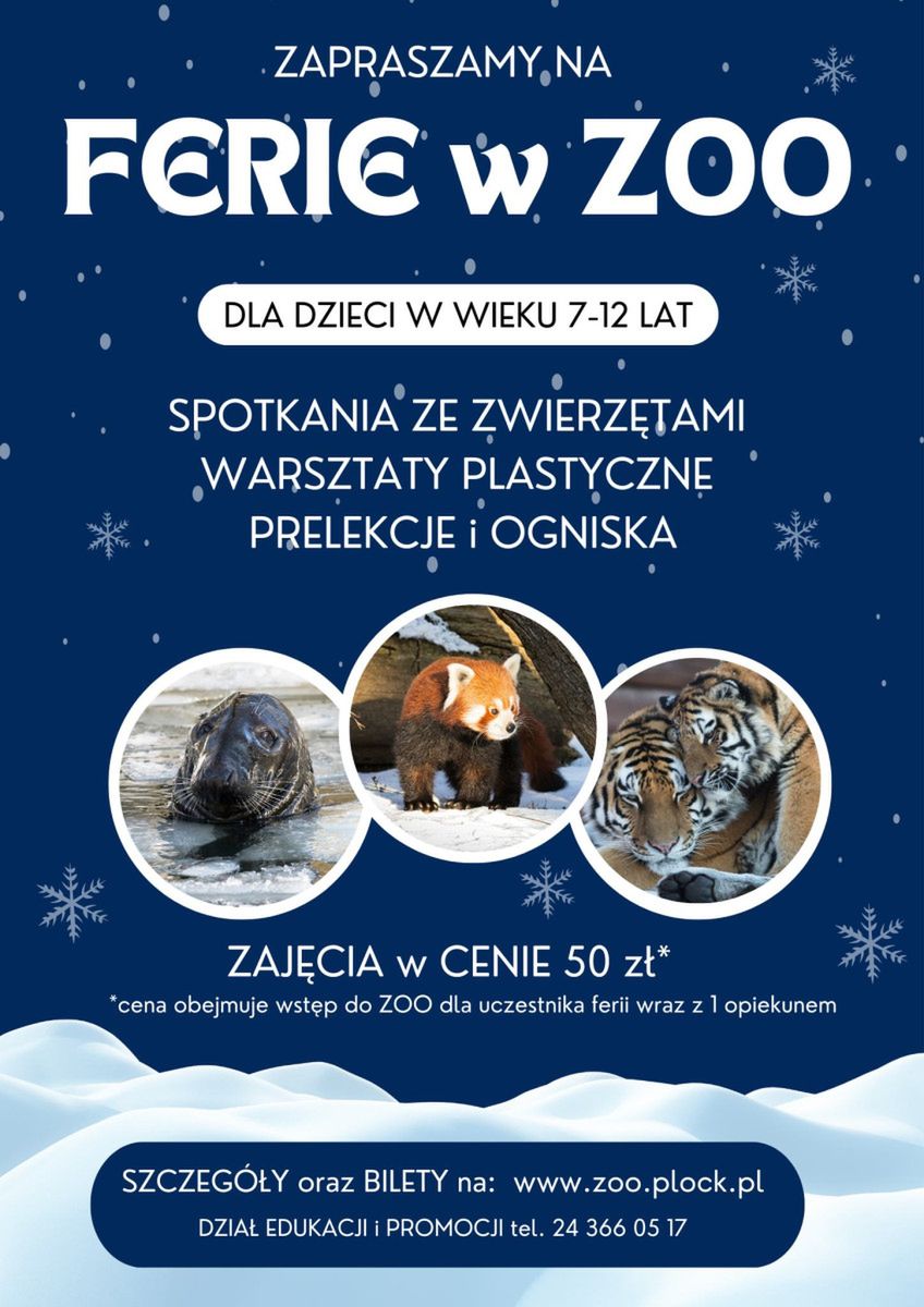 Ferie w mieście nie muszą być nudne