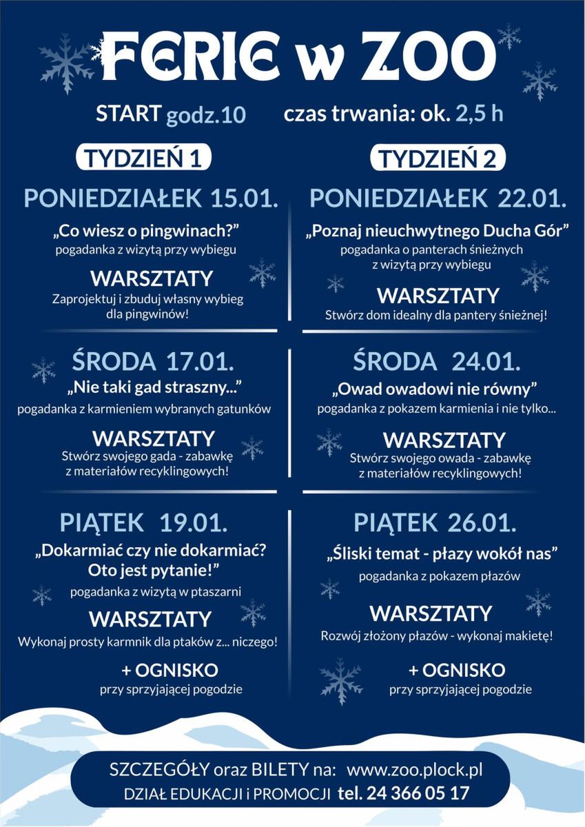 Ferie w mieście nie muszą być nudne