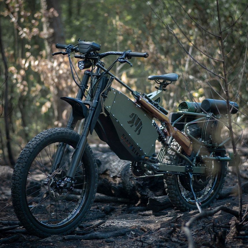 polski e-rower