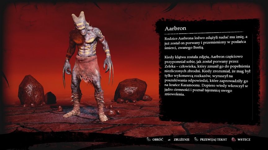 Shadow of the Beast - opis naszego bohatera