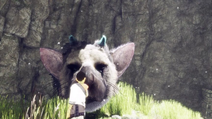 The Last Guardian - uroczy Trico