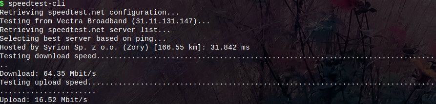 speed test screen