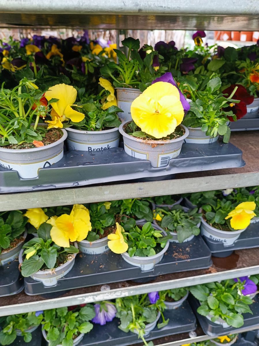 Kandydat do Rady Powiatu zaprasza na spotkania z wyborcami!