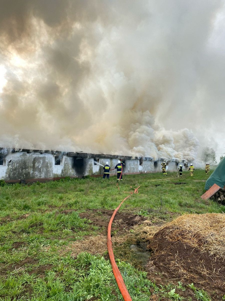 Gmina Sierpc: pożar kurnika, którego gaszenie trwało 7 godzin! [ZDJĘCIA]