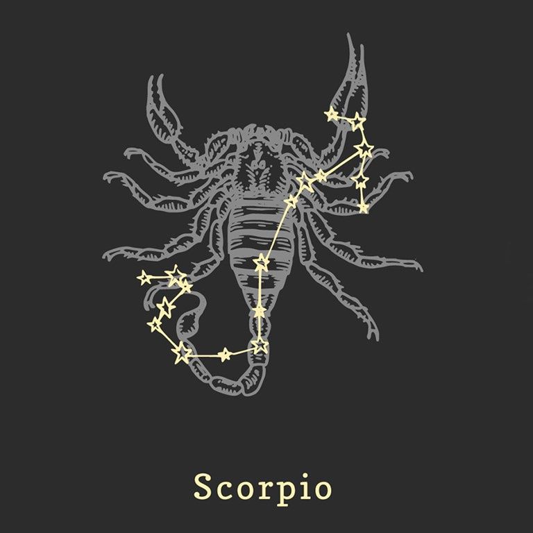 skorpion 2021