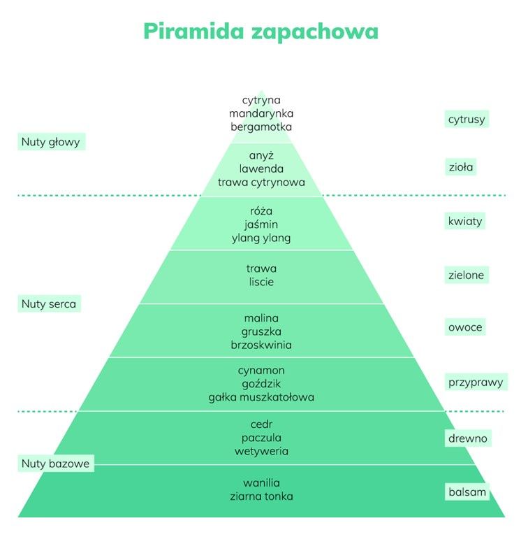 piramida zapachowa