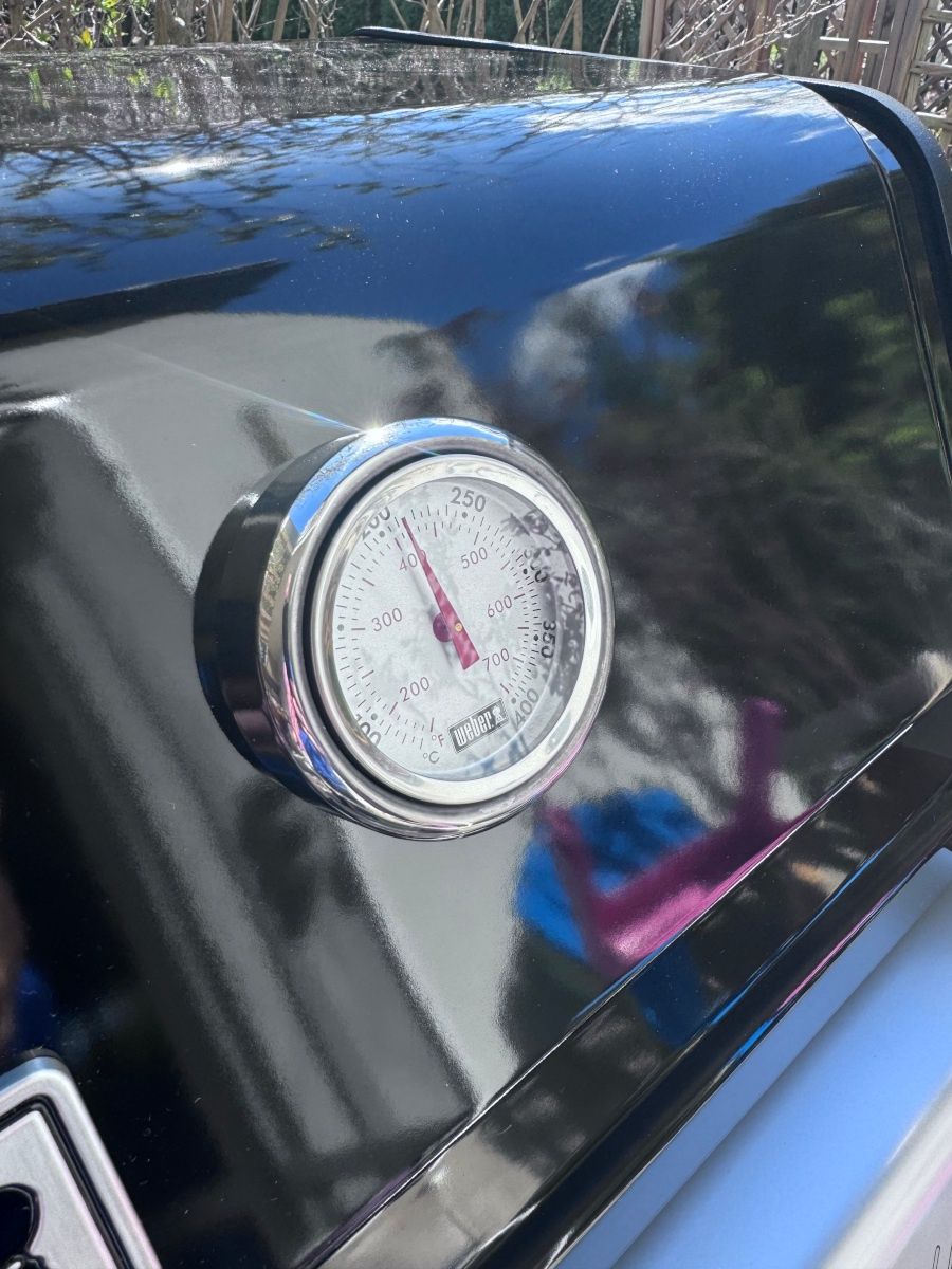 Weber Spirit E-335