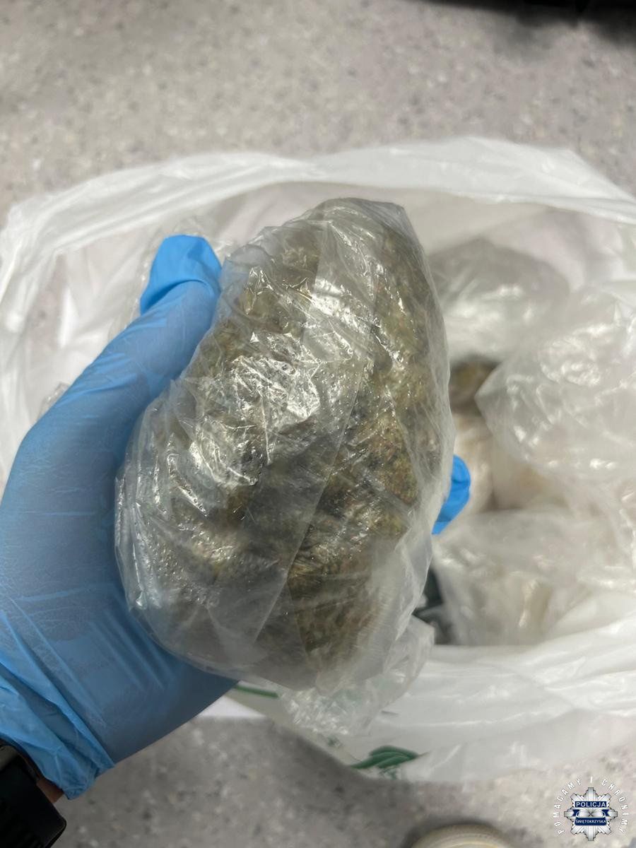 Zdjęcia z zatrzymania