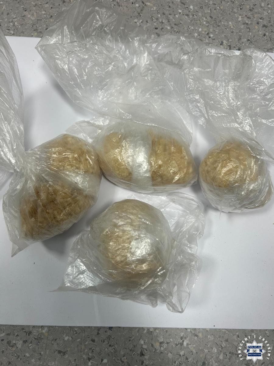 Zdjęcia z zatrzymania