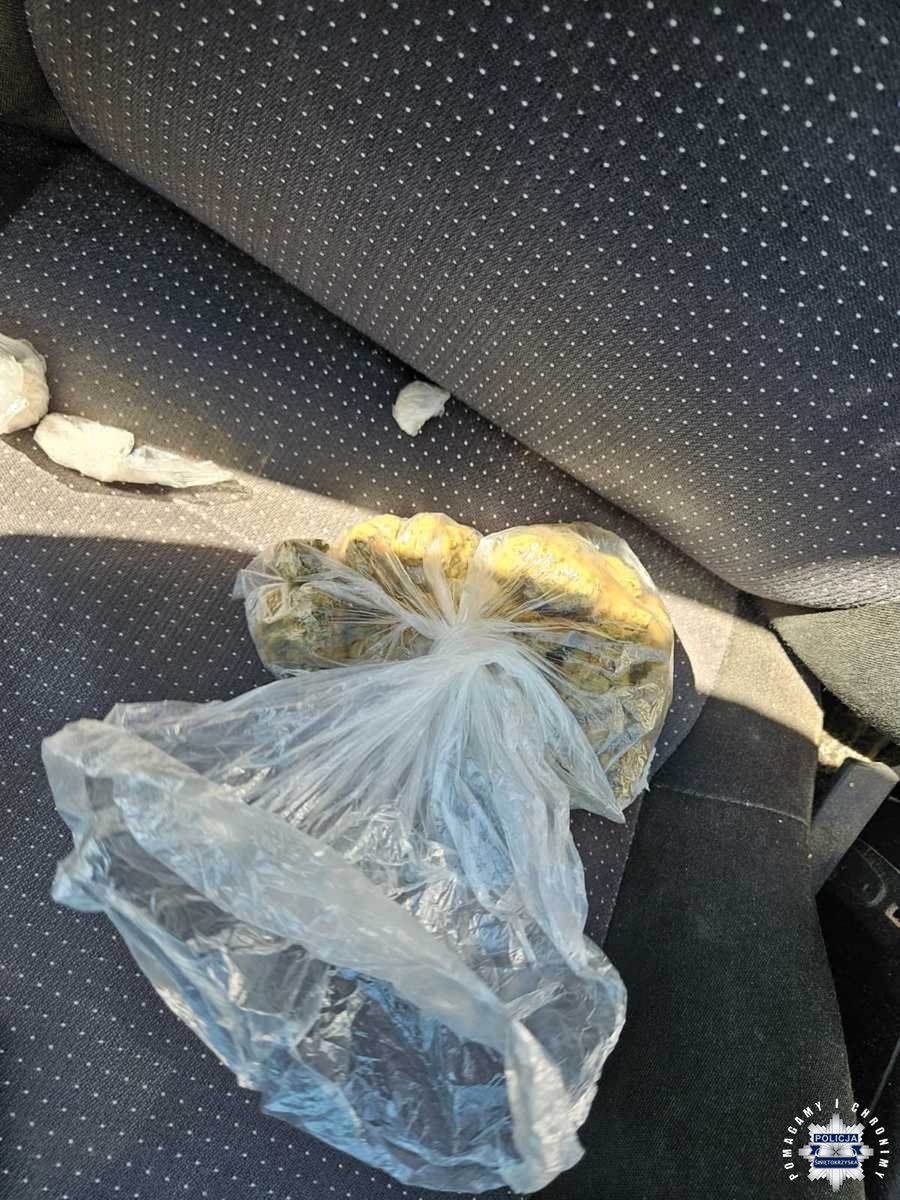 Zdjęcia z zatrzymania