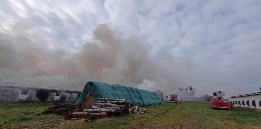 Gmina Sierpc: pożar kurnika, którego gaszenie trwało 7 godzin! [ZDJĘCIA]