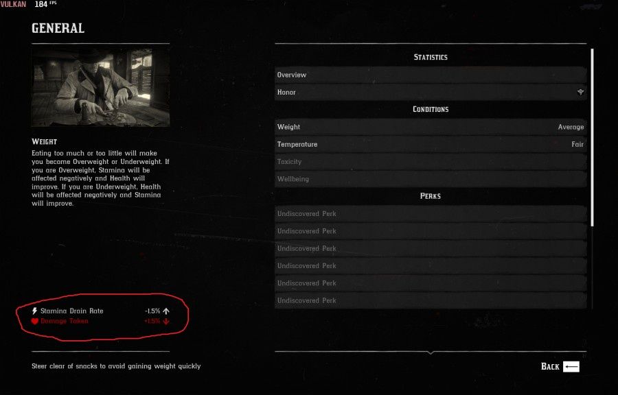 Red Dead Redemption 2 PC błąd