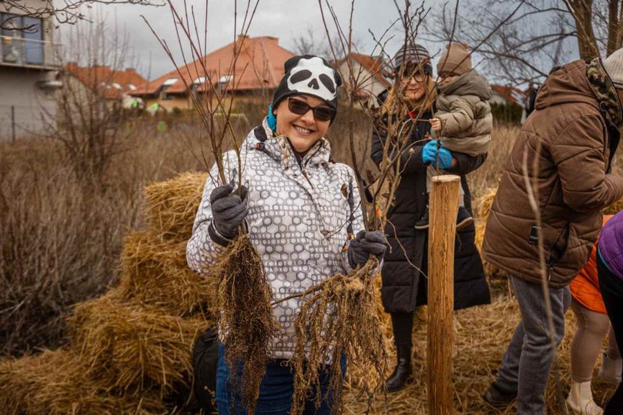 Mikrolasy Miyawaki - japoński koncept ratunkiem dla polskich miast