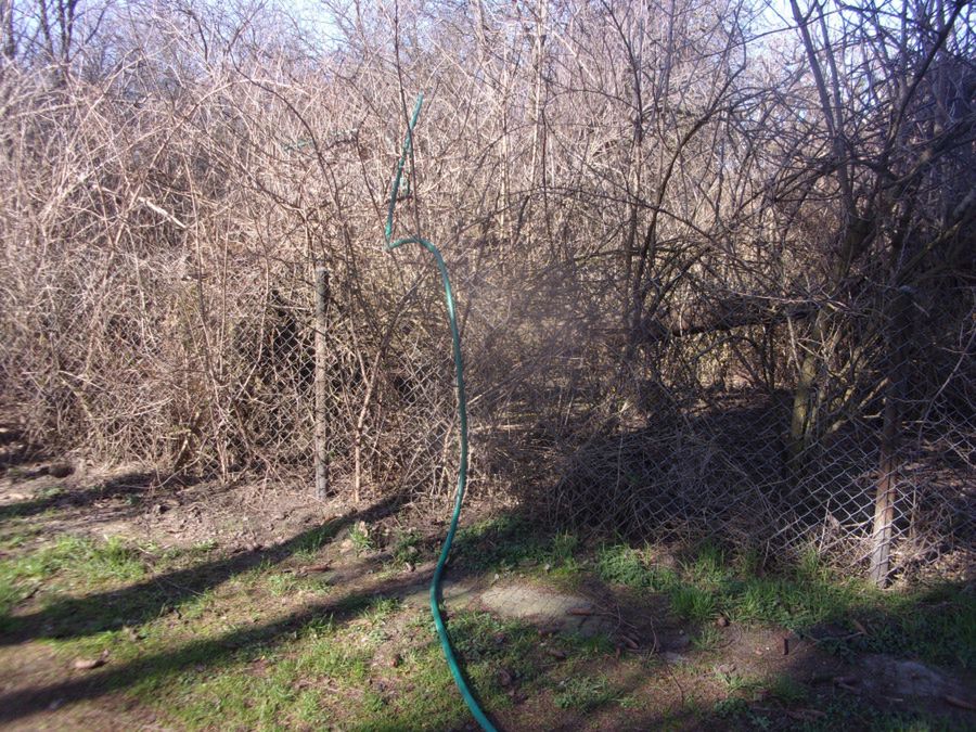 Śmierdząca sprawa, czyli sąsiad z ul. Otolińskiej wylewał szambo na działki