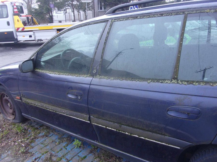 Wrak już zaczął obrastać mchem - Straż Miejska wzięła sprawy w swoje ręce!