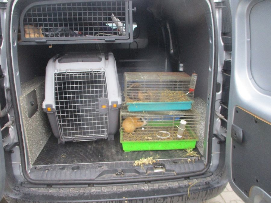 Gehenna zwierząt: kobiecie z Borowiczek odebrano 24 zwierzęta [ZDJĘCIA]