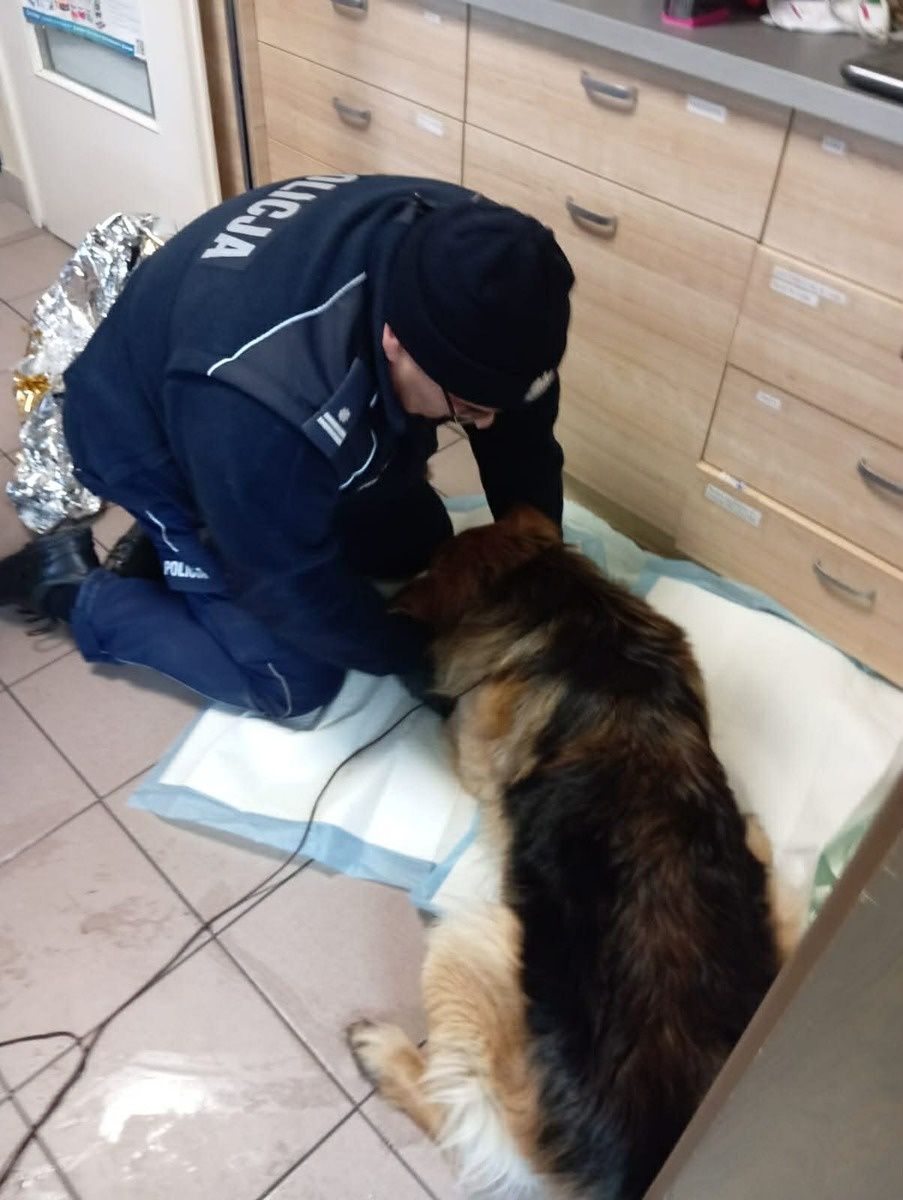 Funkcjonariusze uratowali psa