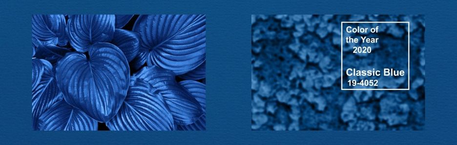 Pantone wybrał kolor roku 2020! Zobacz, co symbolizuje i jak go nosić