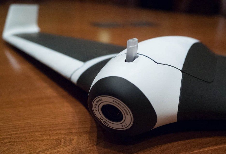 Parrot Disco