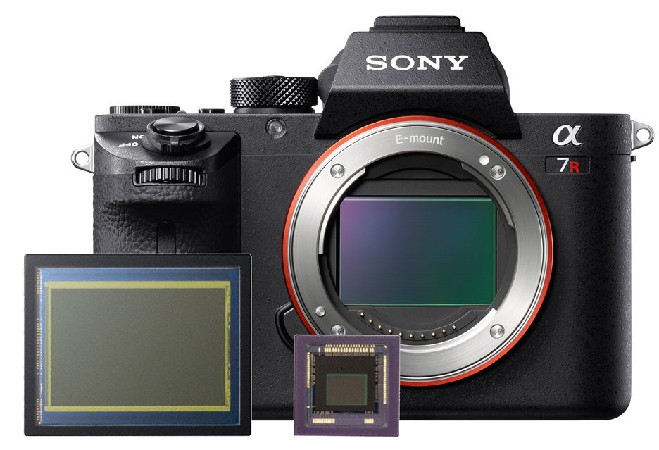 Sony sensory