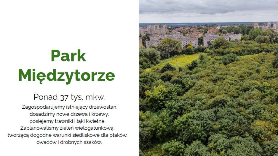 Ochrona bioróżnorodności na terenie Miasta Płocka poprzez tworzenie zielonych przestrzeni publicznych